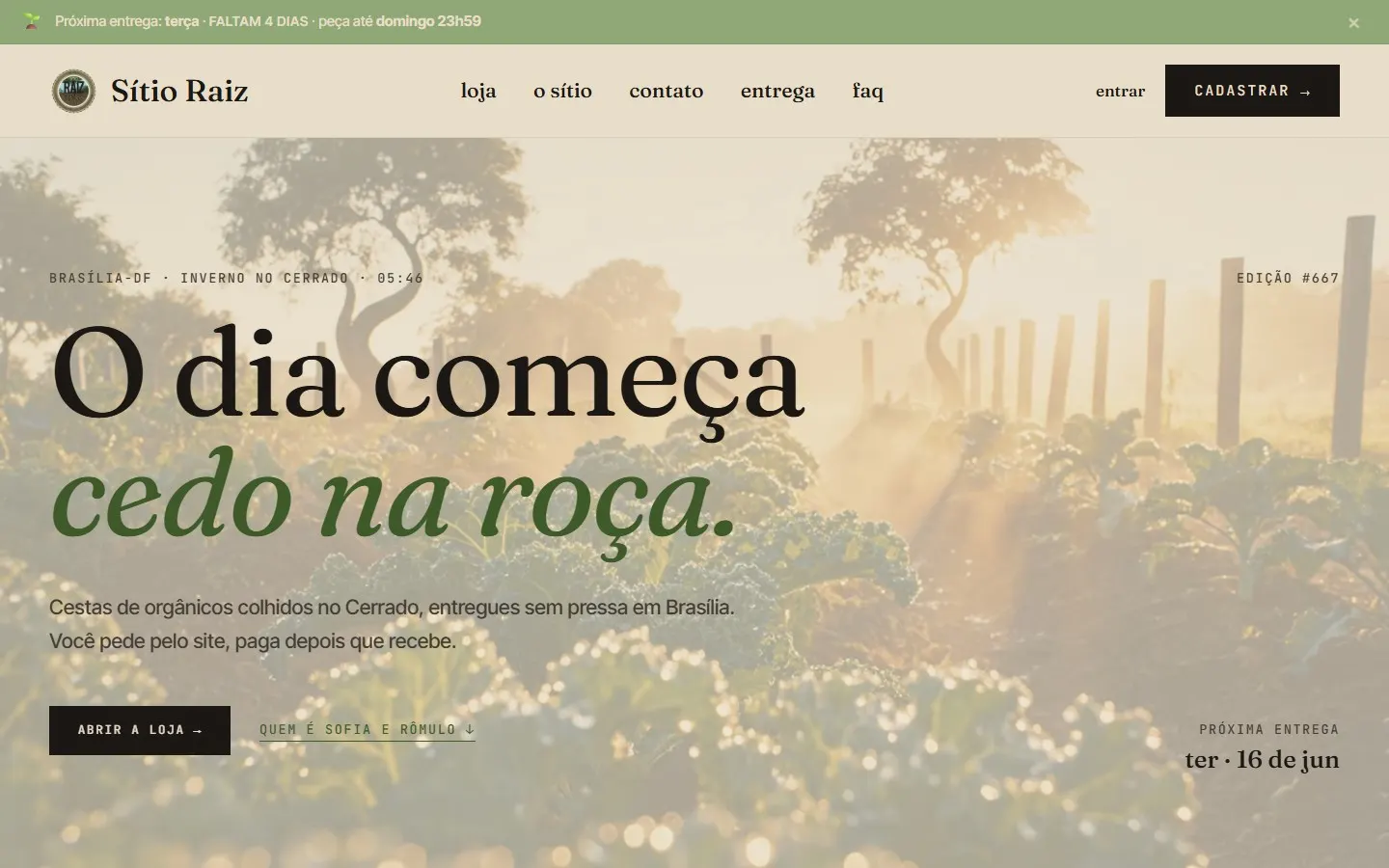 sitioraiz.com.br in its morning state