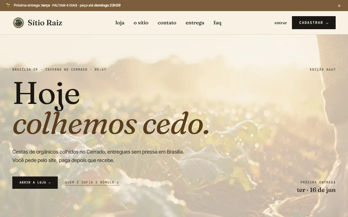 sitioraiz.com.br in its midday state