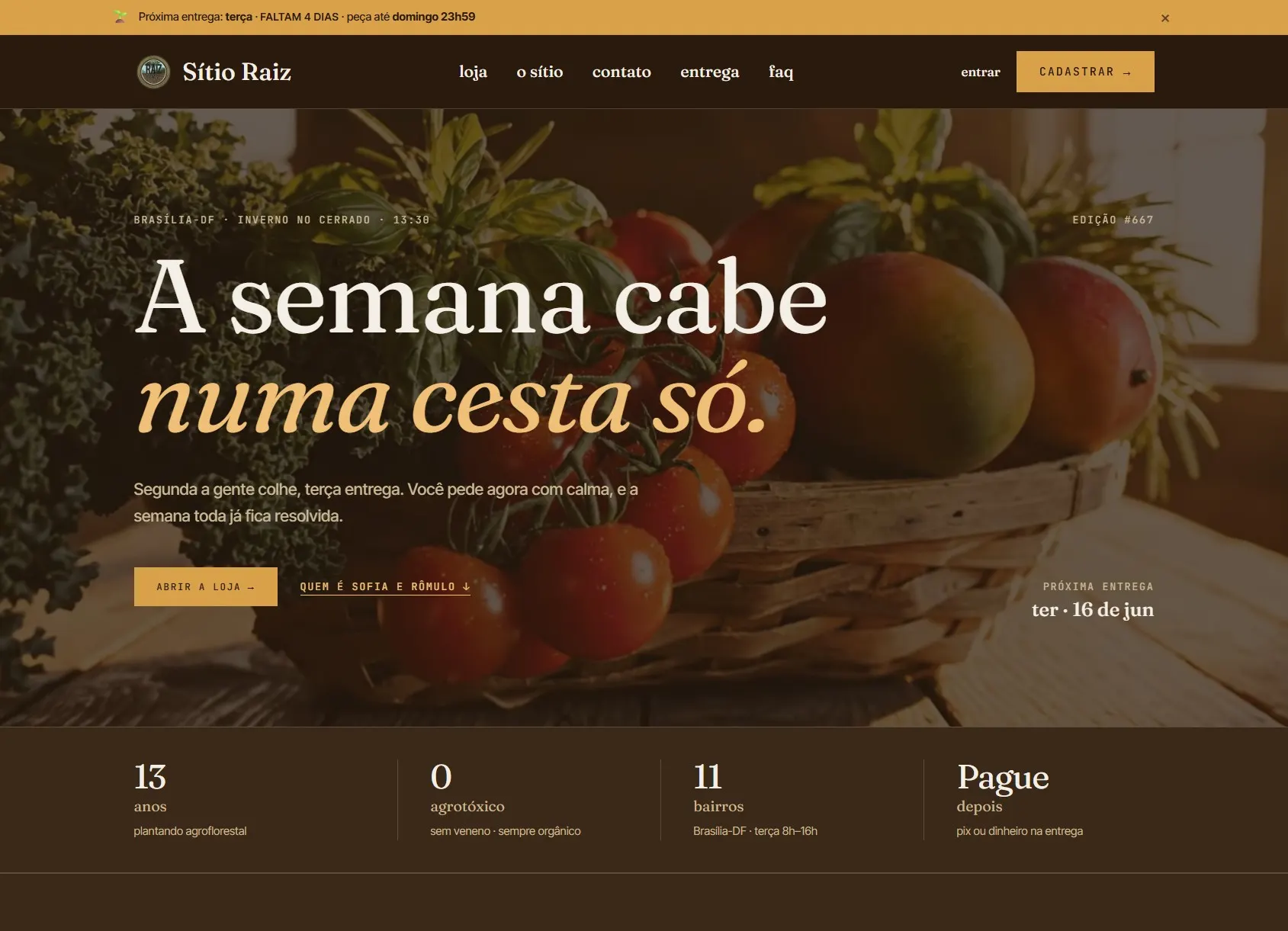 sitioraiz.com.br in its late-afternoon state