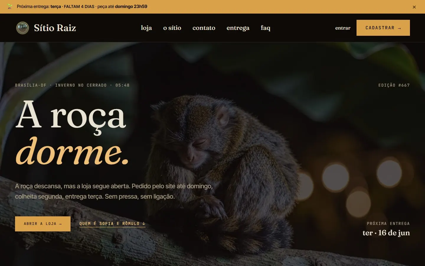 sitioraiz.com.br in its night state